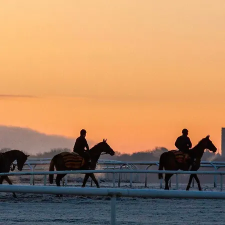 Wicklow Farm * Raheen (Wicklow)
