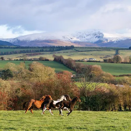 Wicklow Farm *