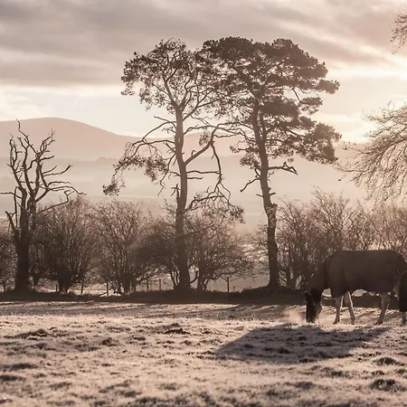 Wicklow Farm Σπίτι διακοπών *